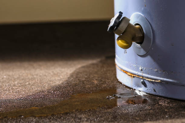 Best Flood damage cleanup  in Brookville, NY