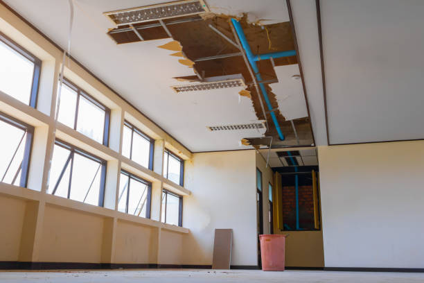 Best Water damage restoration specialists  in Brookville, NY