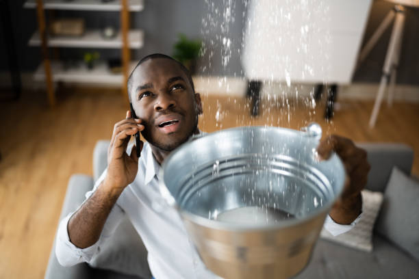 Best Water damage cleanup near me  in Brookville, NY