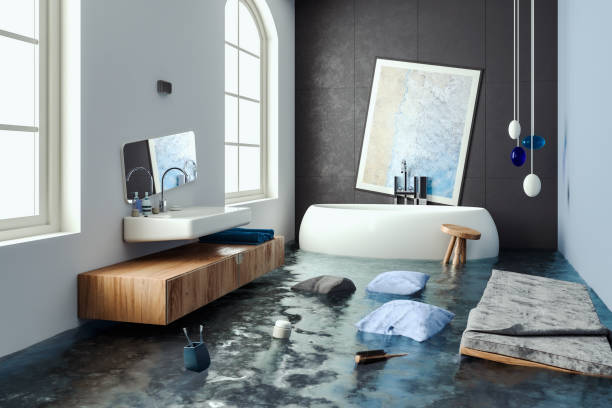 Best Local water damage restoration  in Brookville, NY