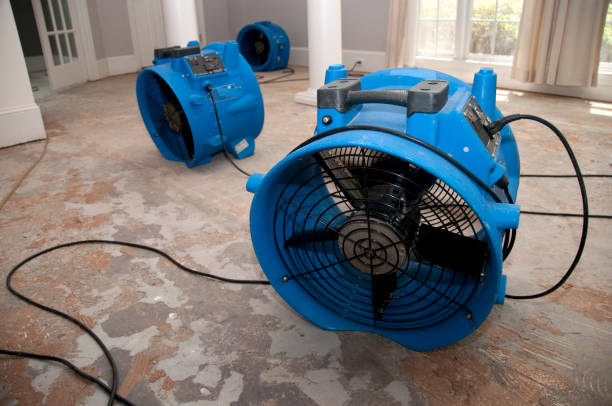  Brookville, NY Water damage restoration Pros