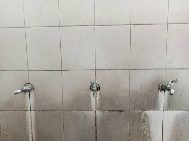 Best Water damage restoration near me  in Brookville, NY