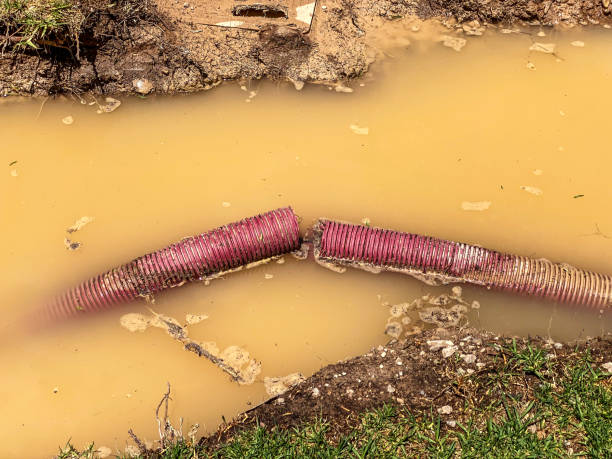 Best Emergency water damage restoration  in Brookville, NY