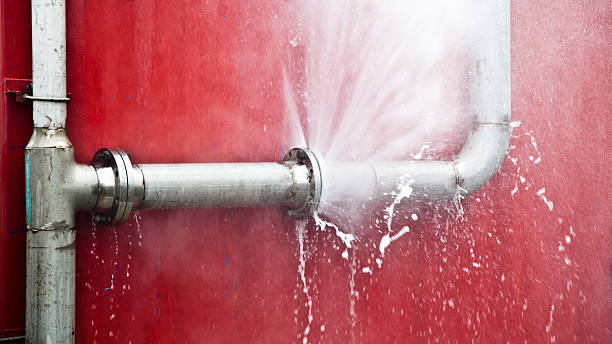 Best Water damage restoration process  in Brookville, NY